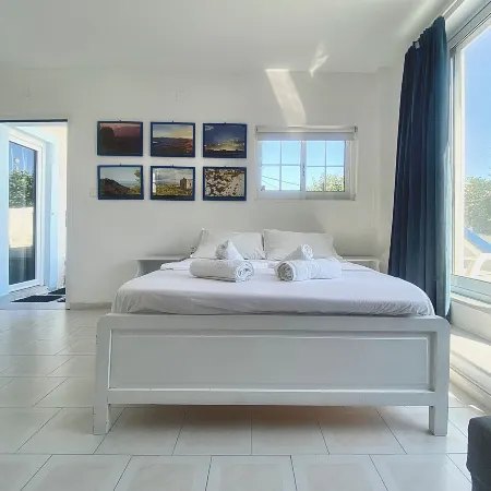 Blue Dolphin Studios and Apartment