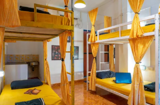 Whoopers Hostel Palolem Hotels near Agonda