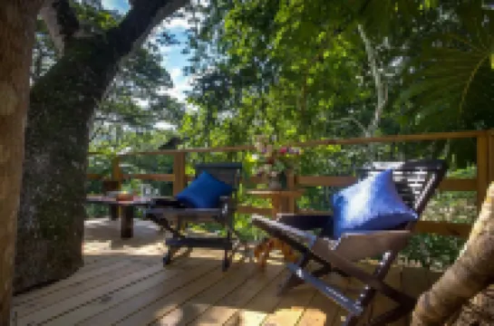 Sweet Songs Jungle Lodge Hoteles en 