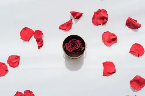 L'Escale Royale Poissy Ile de Migneaux Hotels in Poissy