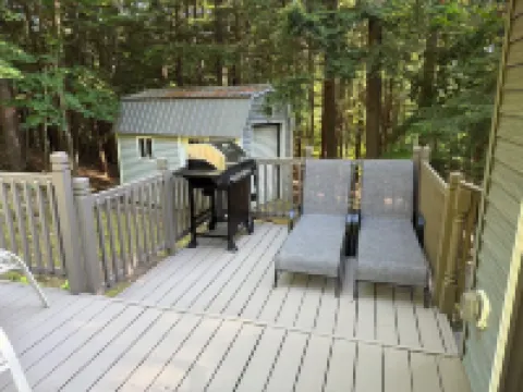 Peaceful cabin hideaway with fire pit & hot tub only 3 blocks from Walloon Lake