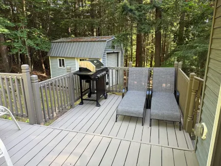 Peaceful cabin hideaway with fire pit & hot tub only 3 blocks from Walloon Lake