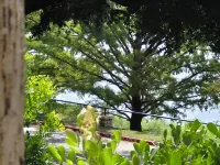 Cozy villa with a lot of natural light, and WiFi, in welcoming Lago Vista Hotels near Northlake Church
