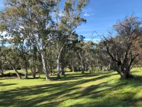 Peppercorn Cottage Avoca ... Colonial cottage accommodation on the Avoca River Hotels in Avoca