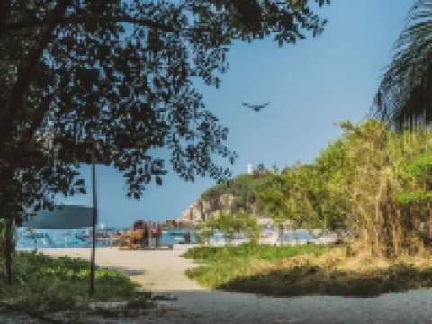 Nomad Beach House - Hostel Hotels in San Pedro Mixtepec