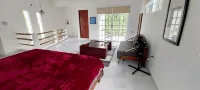 CASA XOLA BIRDWATCHING AND CENOTE LOFT <br>LUXURY IN THE JUNGLE.<br>5 min from reefs!