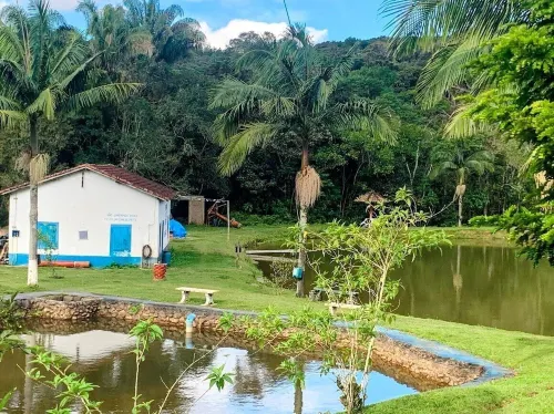 Cottages Bem-te-Vi e Beija-Flor, Mata Atlântica, Pesca, Natureza