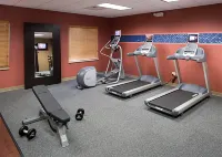 Hampton Inn & Suites Clovis-Airport North - Gym