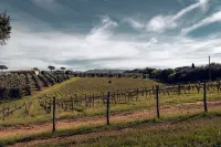 Bolgheri Countryhouse