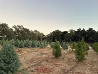 Charming 1-bedroom cottage in the country yet minutes to the 101 and downtown.