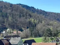 Apartment 130 m² - Panoramic view of the Vosges foothills and medieval KB