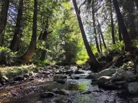 Countryside Haven - King & Queen Bed Hotels in Chilliwack