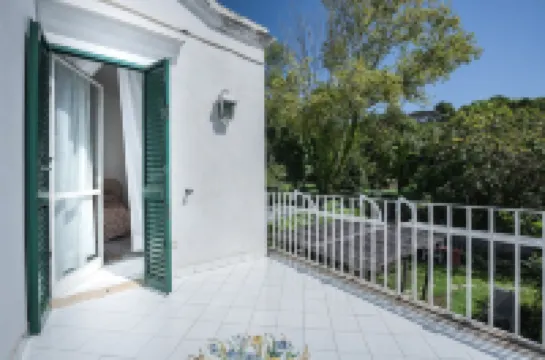 Peaceful oasis for relaxing days with the family