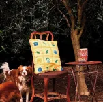 Beautiful renovated pet friendly farmhouse in the rolling green hills of Kiama