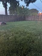 Charming 2-bedroom townhome with WiFi, AC in Columbus nearAirport