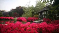 De Bronsbergen Boutique Wellness & Hotel Hotels in Olburgen