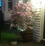 Home away from home!