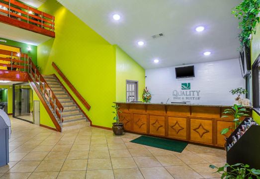 퀄리티 인 & 스위트 - 식스플래그 이스트 인근