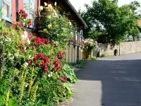 4 person holiday home in Allinge - Wifi