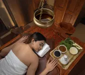 Parakkat Nature Resort - spa