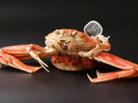 Hotel Hoshitori Terrace Sekigane Hotel a Kurayoshi