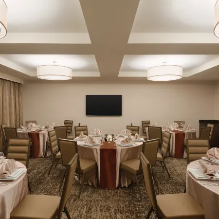 Holiday Inn CHICAGO - SCHAUMBURG by IHG