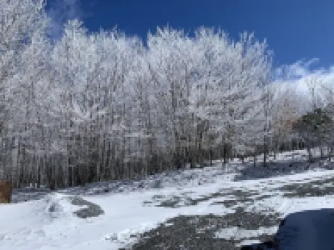 Welcome to Mt. Chillmore.  Walking Distance to the Ski Resort!