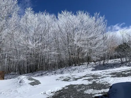 Welcome to Mt. Chillmore.  Walking Distance to the Ski Resort!