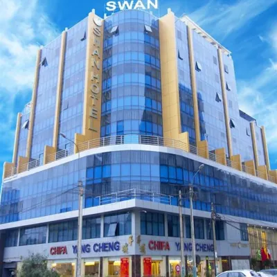 Swan Hotel Отели рядом с достопримечательностью «Парк-де-ла-Резерва»
