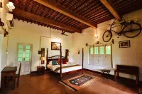 Punjab Village Farm near Amritsar - Homestays