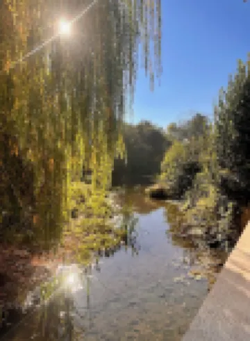 勒穆蘭德拉帕朗特斯