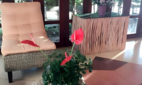 Vana Wellness Resort