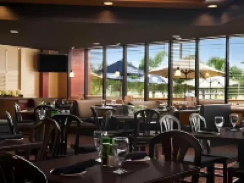 Tropical Palms Hotel