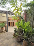 Casa del Árbol Hostel Xochimilco - Hostels