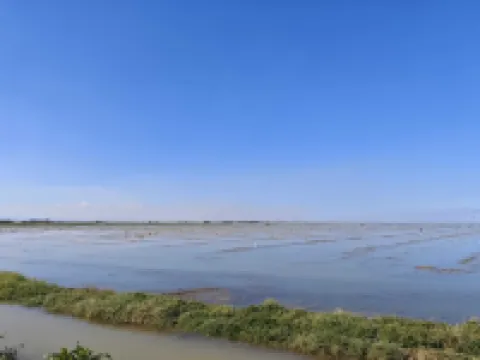 SeaSuites Blue Hoteles en Cullera