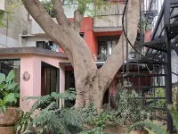 索奇米爾科的樹之家旅館(Casa del Árbol Hostel Xochimilco) 鄰近聖多明我教堂的酒店