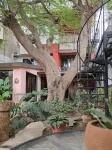 Casa del Árbol Hostel Xochimilco