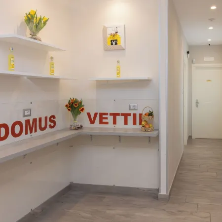 B&B Domus Vettii
