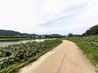 Suncheon Coco Hotels in Suncheon-si