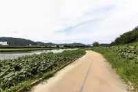 順天Coco