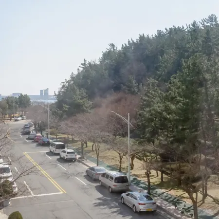 Mokpo Gatbawi Brown Dot