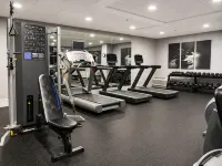 Holiday Inn JOHNSON CITY by IHG - Gym