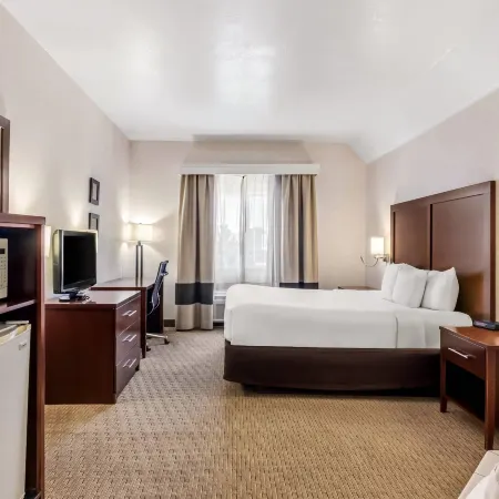 Comfort Inn Elko