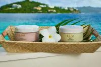 The Ritz-Carlton, St. Thomas - spa