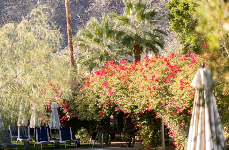 Casa Cody photo 5