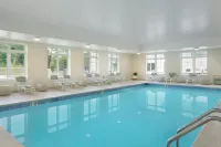 Element Lenox Berkshires - Pool