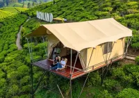 Nimo Tea Resort - Pet friendly