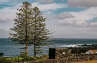 Azores Youth Hostels - Pico - Dağ Manzaralı