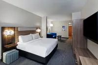 Holiday Inn Express & Suites BOSSIER CITY by IHG - WiFi