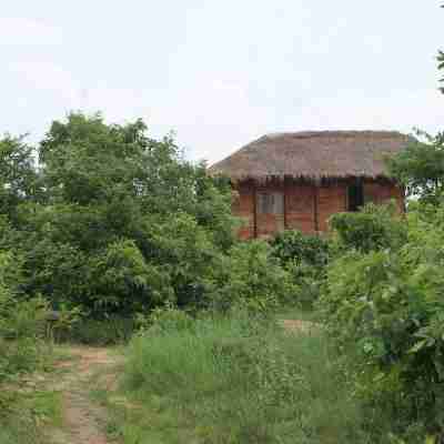 Muba's Machaan Hotel Exterior